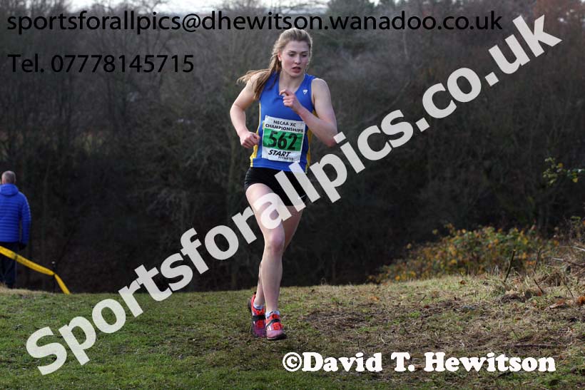 Womens under-17s and 20s North Eastern Cross Country, Aykley Heads, Durham. Photo: David T. Hewitson/Sports for All Pics